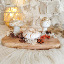 Trio de Champignons en Résine Naturelle