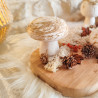 Trio de Champignons en Résine Naturelle