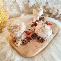 Trio de Champignons en Résine Naturelle