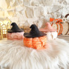 Pot Citrouille Halloween en resine naturelle – Déco & Rangement