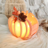 Citrouille en résine naturelle – Lanterne d’ambiance automnale chaleur