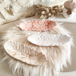 Vide-poche plume, délicatesse en résine naturelle