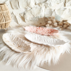 Vide-poche plume, délicatesse en résine naturelle