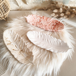 Vide-poche plume, délicatesse en résine naturelle